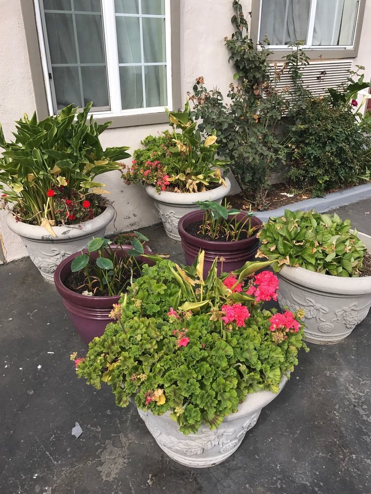 Geneva Motel Daly City Zewnętrze zdjęcie